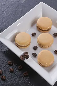 Colorful Dessert Impressions: Macaron