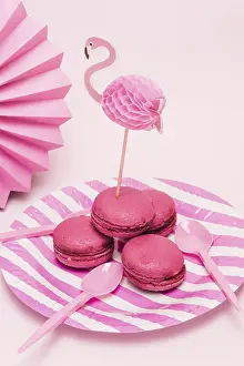 Gastronomy Food Impressions: Macarons