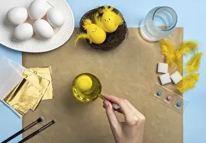 Handmade Easter Decorations Impressions: How to make a chick from eggs for Easter decor