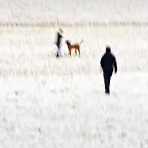 Long Exposure Coastal Photo Impressions: Man with child and dog on the beach