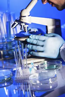 Scientist In Lab Impressions: Man is looking into the ocular of microscope