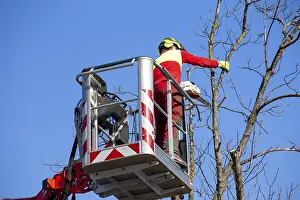 Construction Equipment Impressions: Man on the work platform pruning trees