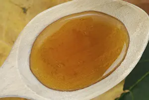 Healthy Baking Ingredients Impressions: Maple syrup