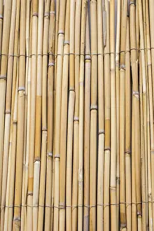 Uninhabited Desert Scene Impressions: Mat as straw as abstract texture pattern