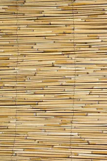 Abstract Straw Texture Impressions: Mat as straw as abstract texture pattern