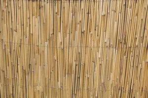 Abstract Straw Texture Impressions: Mat as straw as abstract texture pattern
