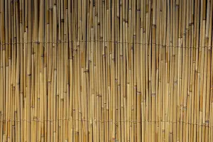 Abstract Straw Texture Impressions: Mat as straw as abstract texture pattern
