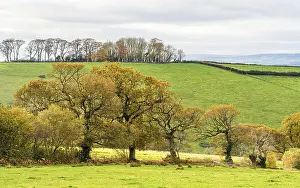 English Countryside Impressions: Meadows and Fields over Devon in the colors of fall