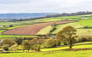 Deserted Farmland UK Impressions: Meadows and Fields over Devon in the colors of fall