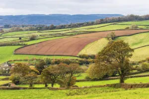 Autumn In Devon Impressions: Meadows and Fields over Devon in the colors of fall