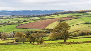 English Countryside Impressions: Meadows and Fields over Devon in the colors of fall