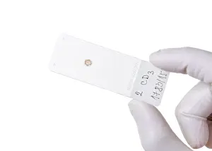Scientific Research Tools Impressions: Microscope slide, cut out