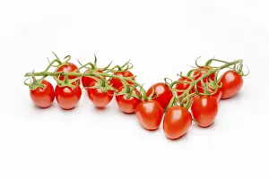 Vegetable Ingredients Impressions: Mini Cherry Tomatoes