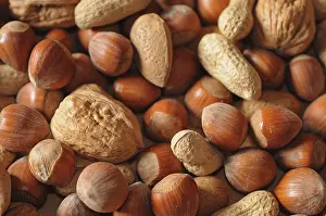 Mixed Nuts Impressions: Mixed nuts