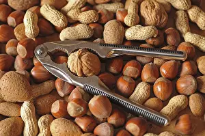 Mixed Nuts Impressions: Mixed nuts with a nutcracker