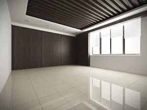 Modern Interior Design Impressions: Modern Interior