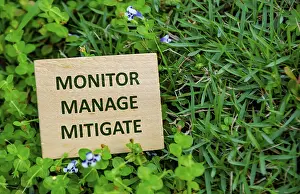 Climate Change Protection Impressions: MONITOR, MANAGE, MITIGATE, Wooden cube with sustainability message on vibrant grass background highlighting monitoring