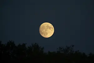 Night Sky Photography Impressions: Moon