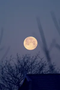 Nighttime Nature Photography Impressions: Full moon