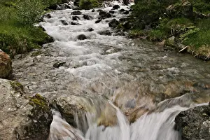 Mountain Creek Impressions: Mountain stream