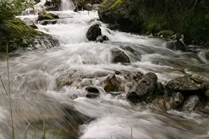 Mountain Creek Impressions: Mountain stream