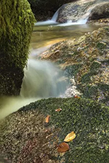Uninhabited Mountain Stream Impressions: Mountain stream