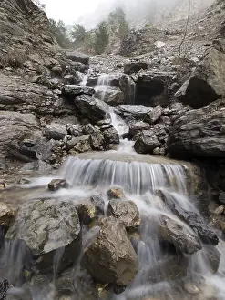 Mountain Creek Landscape Impressions: Mountain stream