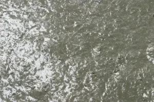 River Bank Scene Impressions: Mud