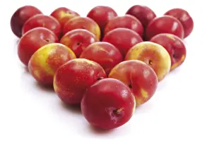 Healthy Eating Tips Impressions: Nectarines