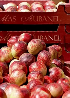 Deserted Market Scene Impressions: Nectarines