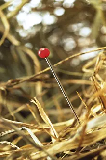 Indoor Studio Photography Impressions: Needle in a stack of hay