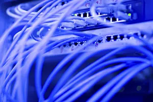 Network Cables Impressions: Network cables