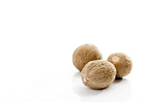 Studio Shot Nutrition Impressions: Nutmeg