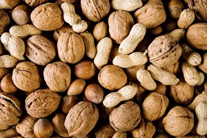 Hazelnut Nutrition Facts Impressions: Nuts