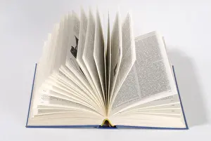Educational Reform Symbol Impressions: Opened up book