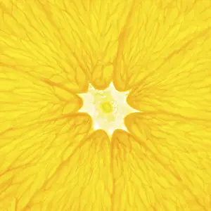 Close Up Orange Slice Impressions: Orange slice close up