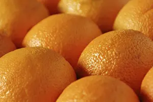 Orange Fruit Impressions: Oranges