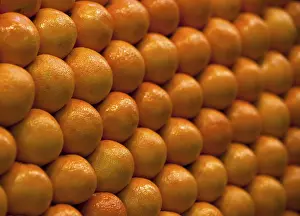 Citrus Fruit Pattern Impressions: Oranges