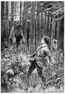 Wild Animal Illustration Impressions: At twenty paces, stood a huge bear
