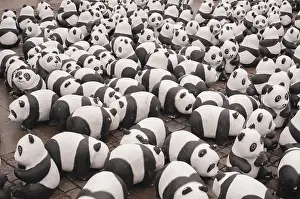 Impressions de Ours panda Hambourg Impressions: Ours panda.