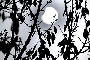Solar Eclipse Germany Impressions: Partial solar eclipse on 25. 10