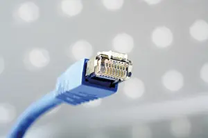 Computer Accessory Impressions: Patch cable