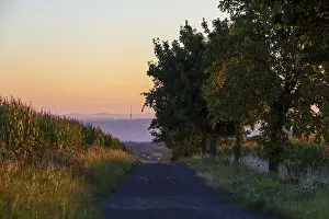 Elbe Valley Landscape Impressions: Path between corn fields at sunrise