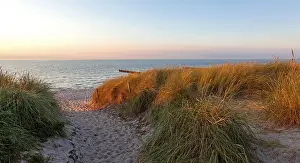Deserted Beach Path Impressions: Path through the dunes to the beach