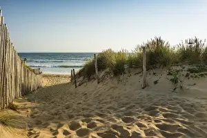 France Coast Impressions: Path through the dunes to the beach