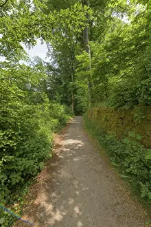 Southern Germany Springtime Impressions: Path in spring, Neckarsteinach