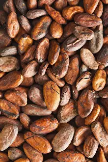 Appetizing Chocolate Dish Impressions: Pattern of the cocoa beans background, top view