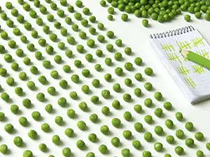 Quality Check Impressions: Pea counting