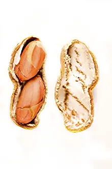 Roasted Peanuts Impressions: Peanut