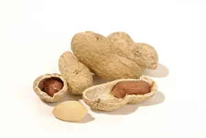 Close Up Peanuts Impressions: Peanuts